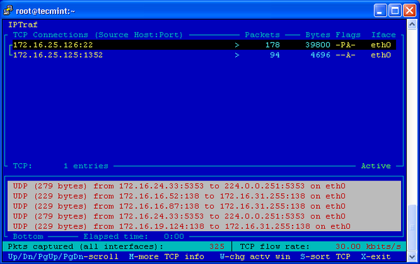 IP Traffic Monitor